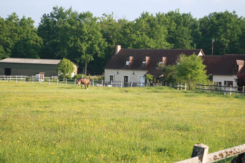 Chambres Et Table D'Hotes Les Machetieres Langeais Exterior foto