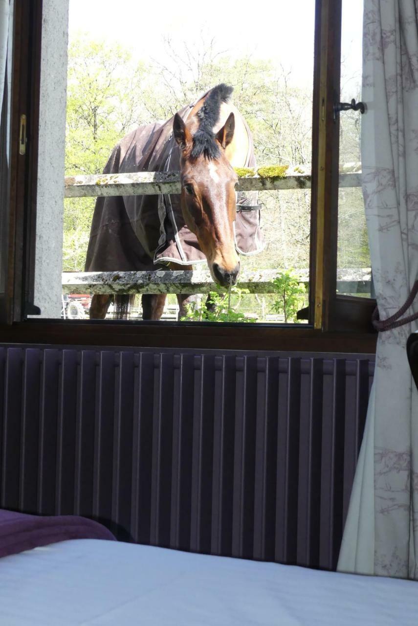 Chambres Et Table D'Hotes Les Machetieres Langeais Exterior foto
